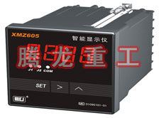 溫度表、數(shù)字顯示儀、濕度表