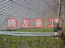 大棚花卉供暖設(shè)備、大棚卉采暖設(shè)備、大棚花卉取暖設(shè)備