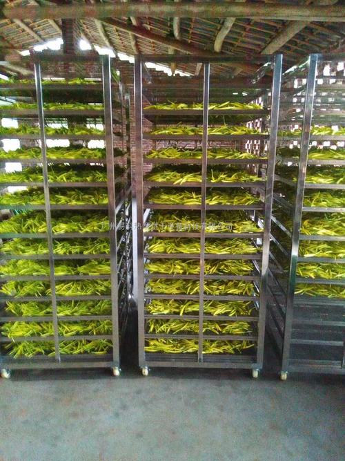 黃花菜烘干機、黃花菜烘干設(shè)備、黃花菜干燥機、黃花菜干燥設(shè)備、